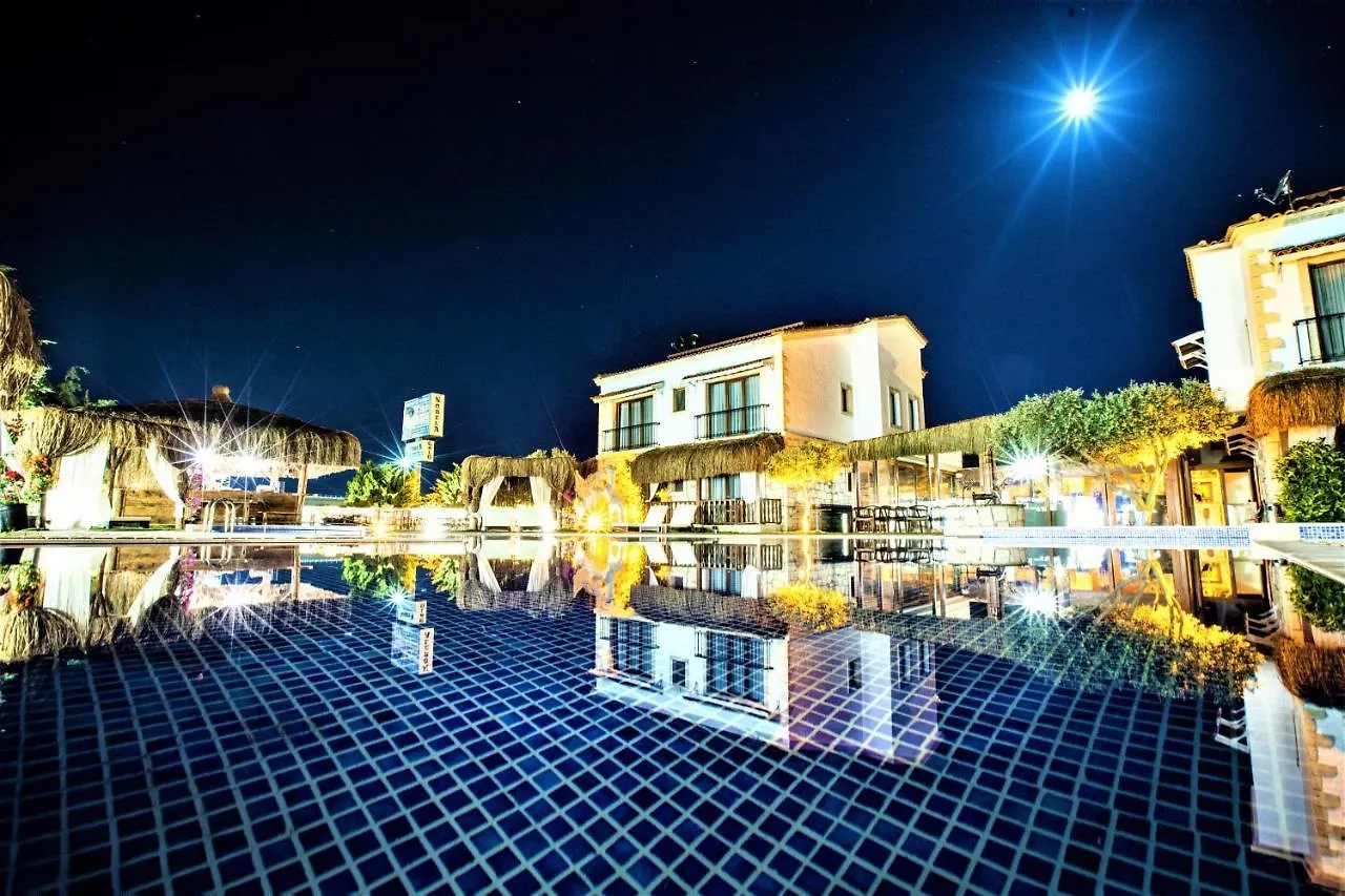 Albeon Luxury Hotel - 阿拉恰特