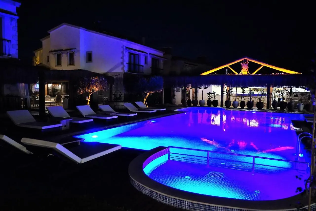 Albeon Luxury Hotel - 阿拉恰特